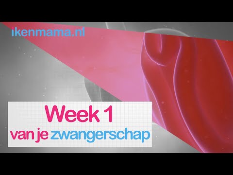 1 week zwanger? Bekijk symptomen, informatie over de echo en je kindje en je lichaam | ikenmama.nl